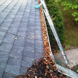 Photo of Pristine Residential Services