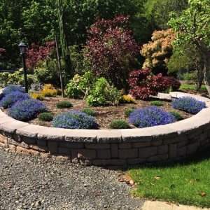 Photo of Dreamscapes Landscape & Design