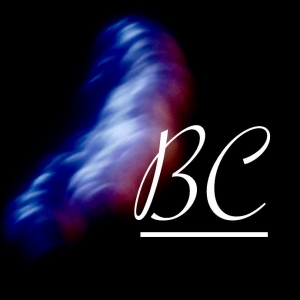 Austin Bradford Consulting