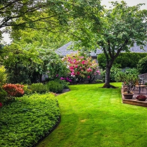 Photo of Navas Landscaping