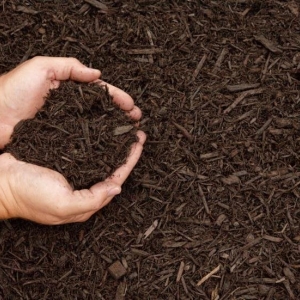 Photo of Navas Landscaping