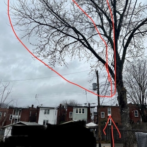 Photo of JR Tree and Lawn Care