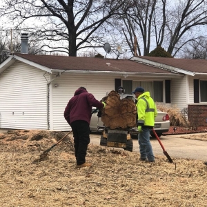 Photo of JR Tree and Lawn Care