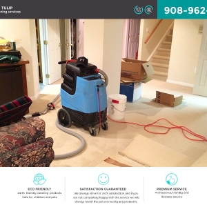 Photo of Tulip Cleaning Services