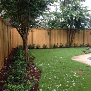 Jacksonville B & L Landscape