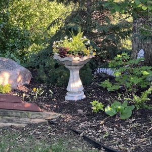 Photo of Mississippi Gardens