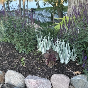 Photo of Mississippi Gardens