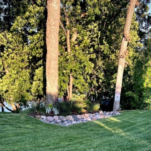 Photo of Mississippi Gardens