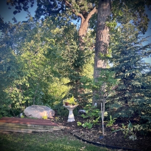 Photo of Mississippi Gardens