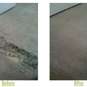 Photo of Carpet Doctors