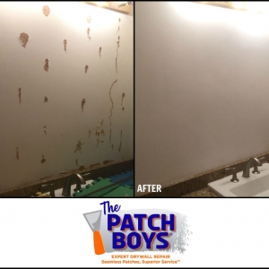 Photo of The Patch Boys of North Seattle and Redmond
