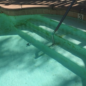Photo of Neverwinter Pools