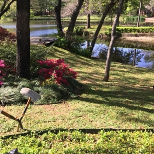 Photo of Plant Whisperer of Texas