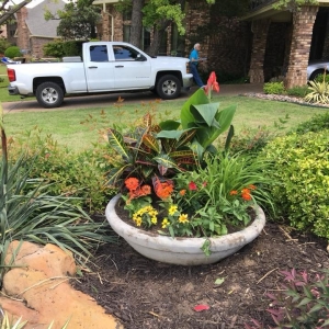 Photo of Plant Whisperer of Texas