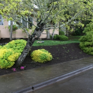 Photo of Rose City's Premier Lawn & Garden