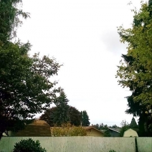 Photo of Rose City's Premier Lawn & Garden