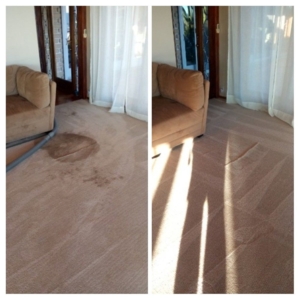Photo of JPS Cleaning Services