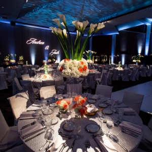 Photo of Bright Star Productions
