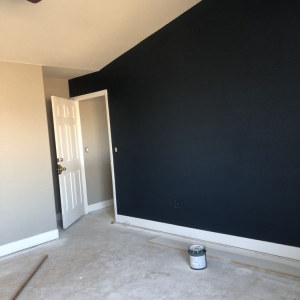 Photo of Xtreme Painting