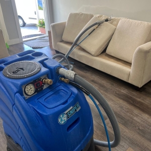 Photo of Carpet Clean Expert