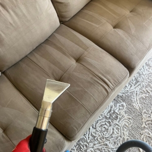 Photo of Carpet Clean Expert