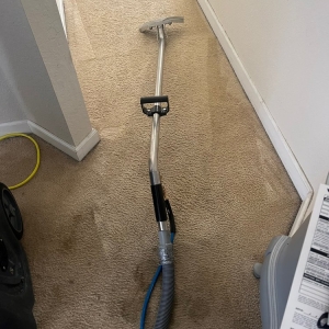 Photo of Carpet Clean Expert