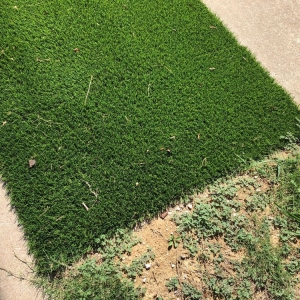 Photo of M & A Synthetic Turf