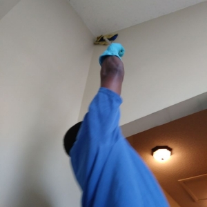 Photo of A&A Cleaning Service