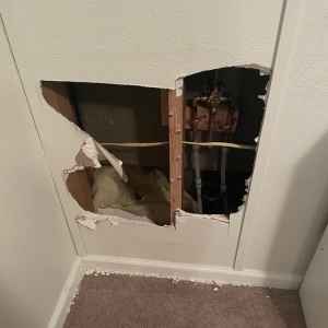 Photo of Benjamin Franklin Plumbing Las Vegas