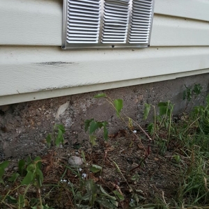 Waco Rivera House Leveling