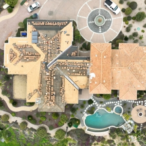 Photo of In-Draft Flight and Film