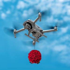 Photo of In-Draft Flight and Film