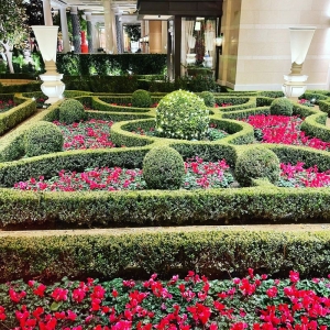Canton Ideal Landscape Solutions