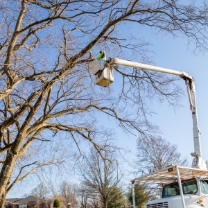 Photo of Quality Contracting