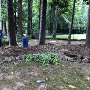 Photo of Ramos Lawn Care Services