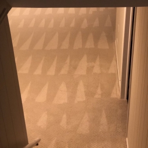 Photo of Green Dry Carpet Cleaning