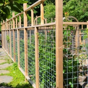 Photo of Green Thumb Solutions