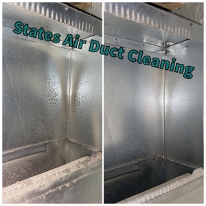 Photo of States Air Duct Cleaning