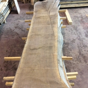 Photo of Horigan Urban Forest Products