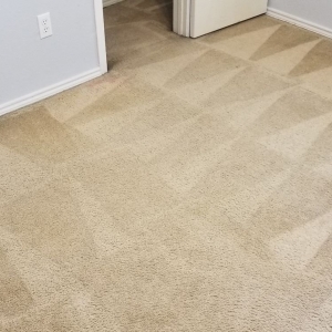 Photo of REM Carpet And Tile Cleaning Services
