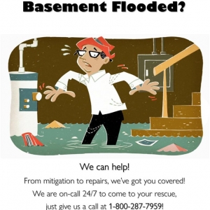 Photo of Four Seasons Carpet Cleaning & Floor Covering