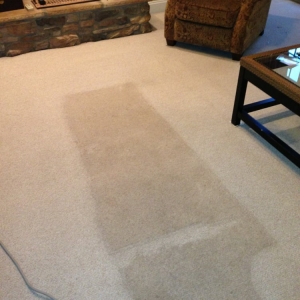 Photo of Dunrite Carpet and Upholstery Cleaning