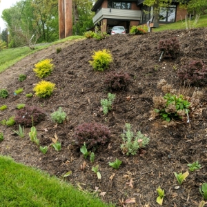 Photo of Legacy Farms and Landscaping