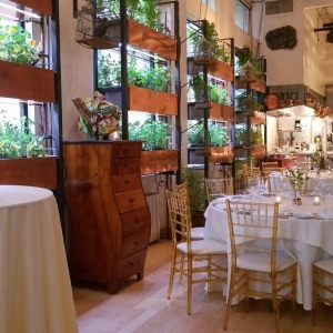 Photo of Bouley Botanical