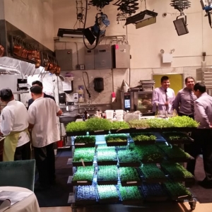 Photo of Bouley Botanical