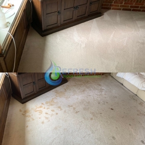 Photo of Refresh Floor Care
