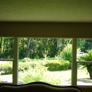 Photo of Windowman Amor