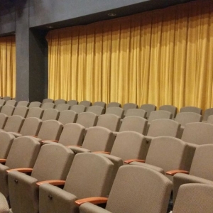 Photo of Downing-Gross Cultural Arts Center