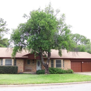 Photo of Sterling Real Estate