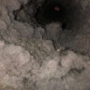 Photo of Expert Air Care